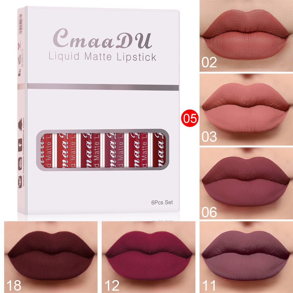 6 boîtes de rouge à lèvres mat antiadhésif et waterproof, longue tenue