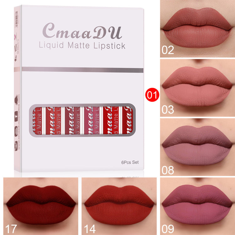 6 boîtes de rouge à lèvres mat antiadhésif et waterproof, longue tenue